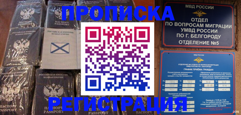 прописка гарантия в Тимашёвске